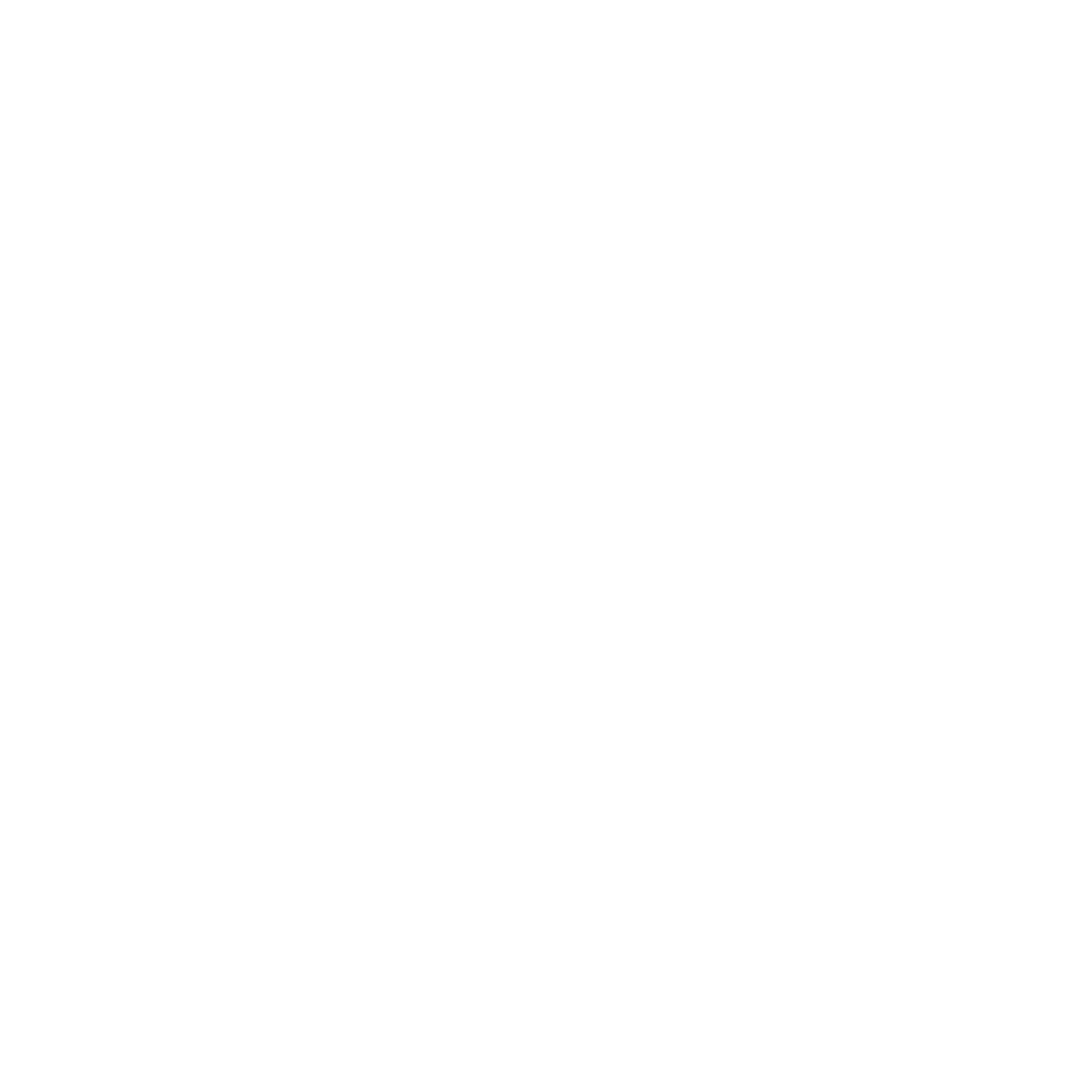 Lola Vision Systems